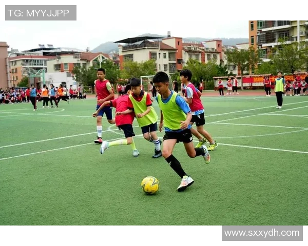 足球小将凯利的梦想之旅与成长故事展现青春拼搏精神