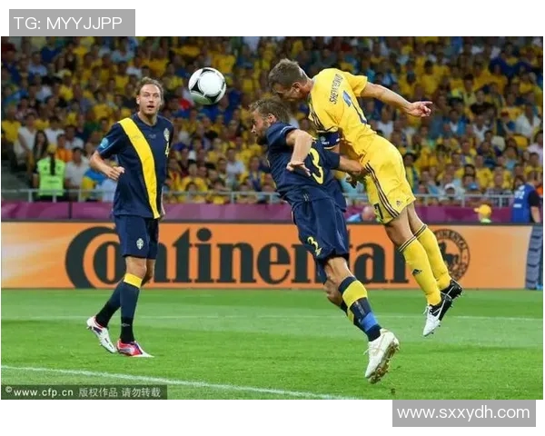 匈牙利与冰岛足球对决深度分析及战术解析